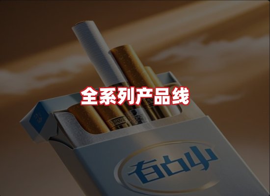 专业团队